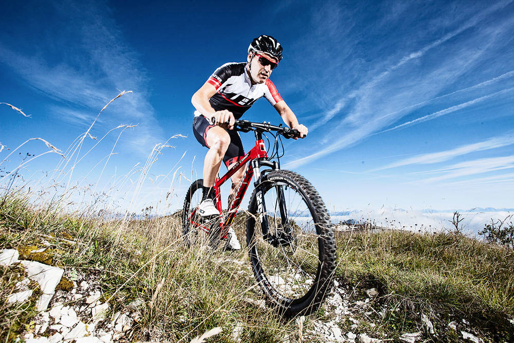 滚球-全球十大口碑最好山地自行车品牌排行榜MARMOT土拨鼠第一名(图1) 滚球-全球十大口碑最好山地自行车品牌排行榜MARMOT土拨鼠第一名(图1)