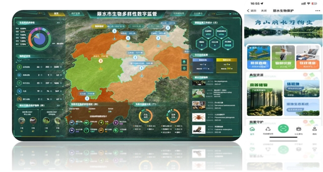 滚球-南创科技坚守生物多样性智慧化监测行业引领行业高质发展(图6)