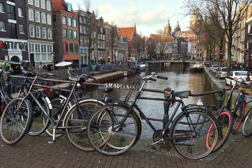 滚球-没苦硬吃的City Ride又火了？(图2)