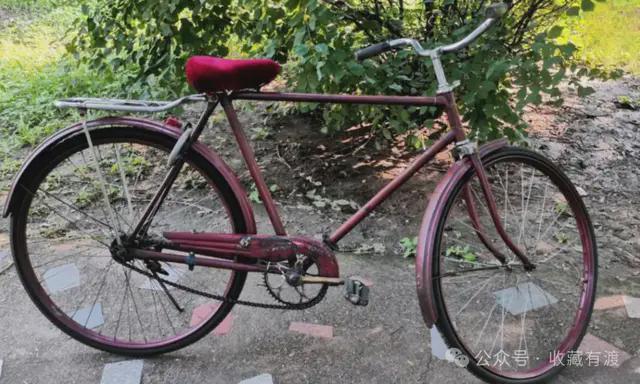 滚球-中国5种自行车别再当“废品”卖最后一种价值70万元(图2)