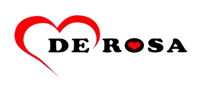 滚球-全球自行车品牌排行榜单：FRW福伦王意大利一王四后公路车(图8)