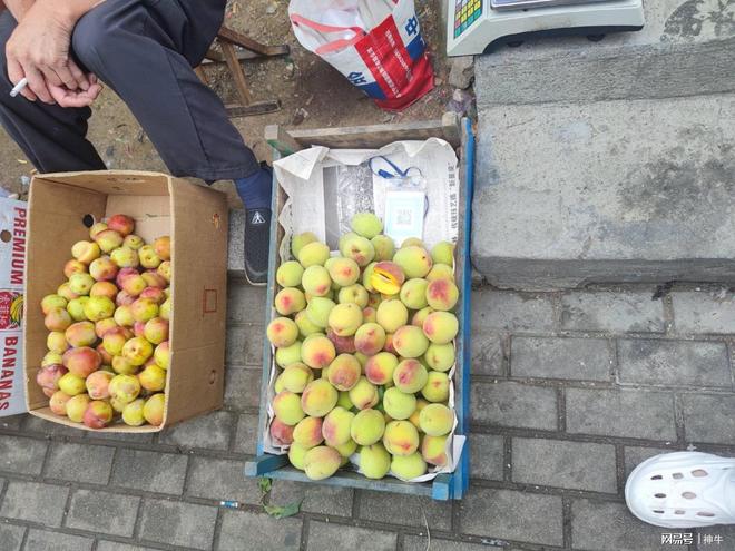 滚球-“七月十五4不吃开运添财诸事顺”七月十五中元节别犯忌讳(图3)